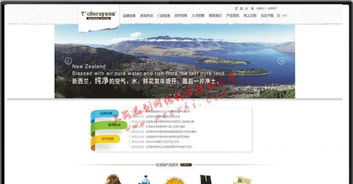 閔行企業(yè)網(wǎng)站建設(shè) 選擇專業(yè)設(shè)計(jì)，賦能上海企業(yè)發(fā)展